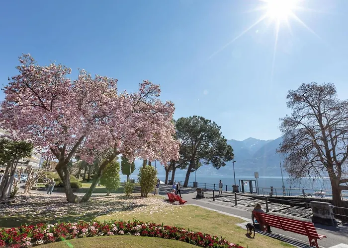 Giardino By Interhome Apartamento Ascona